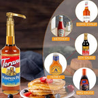 3Pack Coffee Syrup Pump, Compatible with Toran i, DaVinci, Jordans Skinny Syrups - Toran i Syrup Pump Dispenser Fits 25.4 Oz/750Ml Bottles, For Coffee Flavoring Syrups, Teas, Snow Cones, Smoothies