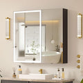 30x28 Medicine Cabinet with Lights Mirror, LED Lighted Medicine Cabinet Wall Mounted, Modern Sturdy Aluminum Mirrored Cabinet with Memory 3 Color Dimmable and Defogger, Adjustable Shelves
