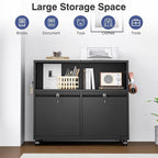 Metal File Cabinet,2 Drawer Filing Cabinet with Lock,Rolling Printer Stand Storage Cabinets with Shelves for Home Office Letter/Legal/A4 Size Files(Black)