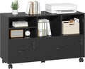 Semoic 2 Drawer Wood Lateral File Cabinet with Lock, Lockable Rolling Filing Cabinet with Adjustable Storage Shelves, Printer Stand Office Storage Cabinet for Home Office Fits Files Legal/A4, Black