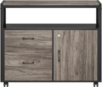 Tribesigns Modern File Cabinet with Drawers for Letter-Sized File and Door, Lockable lateral Filing Cabinet Printer Stand with Storage Shelves and with Rolling Caster for Home Office (Gray)
