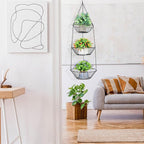 Maxdot 4 Pack 3-tier Hanging Fruit Basket Kitchen Hanging Wall Fruit Storage Organization Basket with Sturdy Metal Chain for Kitchen Bathroom Wardrobe Garden