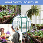 6 x 8 FT Outdoor Patio Greenhouse, Polycarbonate Board, Raised Base, Sliding Door, Adjustable Roof, Window Greenhouse, Anchor Aluminum Heavy Duty Walk-in Greenhouse