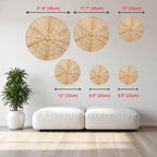 Laquedecraft Boho Wicker Rattan Plate Basket Set For Décor Hanging Wall | Large Woven Farmhouse Rustic Bohemian Art Baket Hangings For Decorative Home, Bedroom, Living Room, Kitchen, Bathroom (Classic, Natural, Set of 6)
