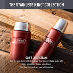 THERMOS Stainless King Vacuum-Insulated Compact Bottle, 16 Ounce, Matte Steel