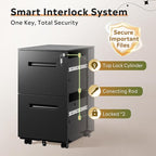 DEVAISE 2-Drawer Metal File Cabinet with Lock, Mobile Filing Cabinet Under Desk for Home Office, Fully Assembled Printer Stand fits F4/A4/Letter/Legal Size, Black, 20" D x 15" W x 27" H
