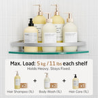 KES Glass Corner Shelf Bathroom, Corner Glass Shelf with Rail Wall Mount 2 Tier Sand Sprayed Silver Finish, A4120A-P2