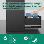 Letaya File Cabinet with Lock-Lateral 2 Drawer Metal Filing Cabinets-Organization Storage Cabinets for Home Office-Hanging Letter/Legal/F4/A4 Size (2 Drawer-Grey Black)