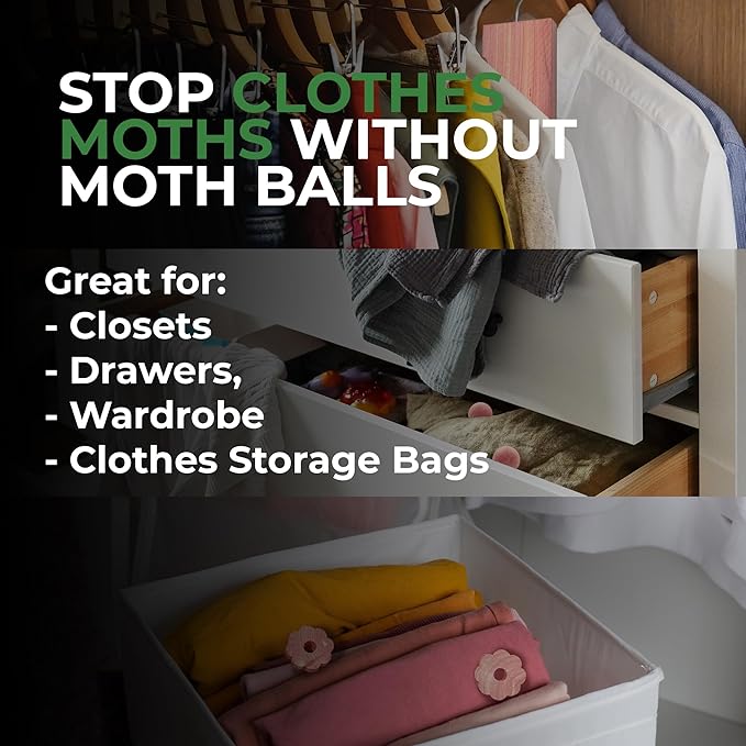 61 Pack Cedar Blocks, Sachets, Rings, Balls - Stop Clothes Damage - The Ultimate Cedar Collection to Protect Your Clothes