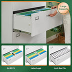 Letaya 2 Drawer Metal Filing Organization Office Cabinets with Lock,Lateral File Cabinets for Home Office Hanging Files Letter/Legal/F4/A4 Size (2 Drawer-White)