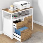 Tribesigns Modern File Cabinet with Drawers for Letter-Sized File and Door, lateral Filing Cabinet Printer Stand with Storage Shelves and with Rolling Caster for Home Office