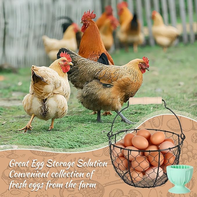 2 Pcs Egg Basket With Handle,Wire Egg Basket for Gathering Fresh Eggs, Round Egg Collecting Basket for Farm,Vintage Style Chicken and Duck Eggs Basket Egg Countertop Storage Container Holder ﻿