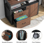 Tribesigns Modern File Cabinet with Drawers for Letter-Sized File and Door, Lockable lateral Filing Cabinet Printer Stand with Storage Shelves and with Rolling Caster for Home Office (Dark Walnut)