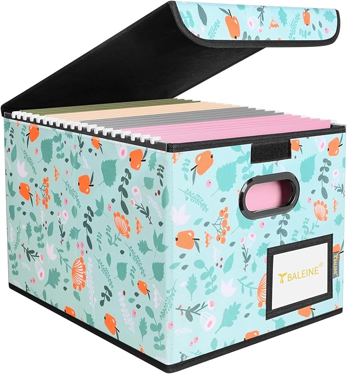 BALEINE File Organizer Box with Lid, Collapsible File Folder Organizer with Plastic Slide, Hanging File Folder Box for Office Document Storage (1 Pack, Spring Stroll)