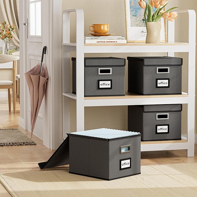 Huolewa File Organizer Box with Lid, Collapsible File Folder Organizer for Office Document Storage, Filing Box with Plastic Slide for Letter Size Hanging File Folders(1 Pack, Dark Grey)
