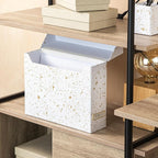 Bigso Lovisa Fiberboard Label Frame 12 File Storage Box - Paperwork Storage Box with Metal Label Holder - Durable Document Organizer with Flip Top Lid - 3.7in x 13in x 9.4 in - Splash Gold