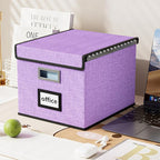 Decorative File Organizer Storage Boxes with Lid, Huolewa Linen Hanging Filing & Storage Box with Plastic Slide for Office/Decor/Home, Universal Hanging Filing Organization Box for Letter/Legal Folder