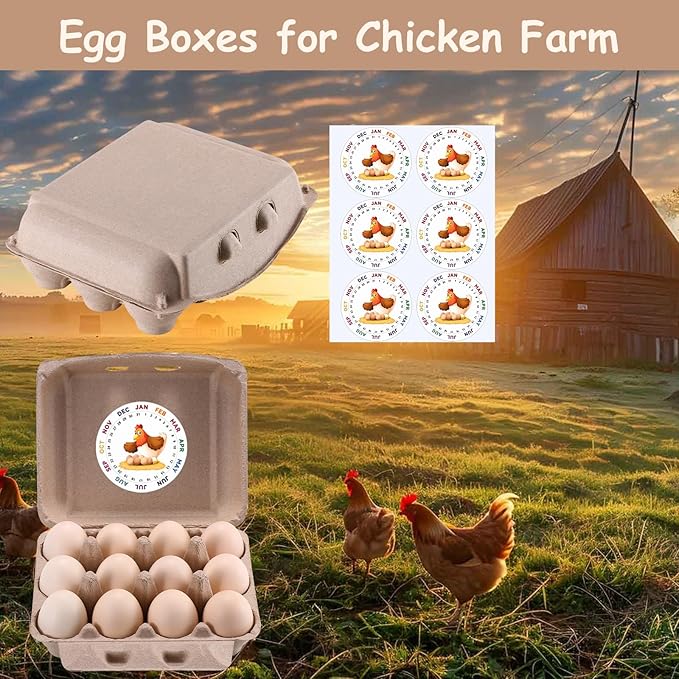 50 Pcs Vintage Egg Cartons with Labels, Square Dozen Egg Basket Blank Natural Paper Pulp, Classical 3x4 Style Holds Up to One Twelve 12 Count Chicken Eggs, Sturdy Eggs Box with Stickers