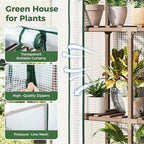 4 Tier Bamworld Mini Greenhouse for Outdoor Indoor 22 x 16 x 66-Inch Portable Greenhouses with Reusable PE Cover Small Greenhouse Kit for Outside Heavy Duty Patio Wooden Greenhouse Tent