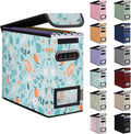 BALEINE File Organizer Box with Lid, Collapsible File Folder Organizer with Plastic Slide, Hanging File Folder Box for Office Document Storage (1 Pack, Spring Stroll, S)