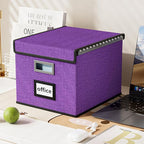 Huolewa File Organizer Box with Lid, Collapsible File Folder Organizer for Office Document Storage, Filing Box with Plastic Slide for Letter Size Hanging File Folders(1 Pack, Purple)