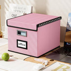Huolewa File Organizer Box with Lid, Collapsible File Folder Organizer for Office Document Storage, Filing Box with Plastic Slide for Letter Size Hanging File Folders(1 Pack, Pink)