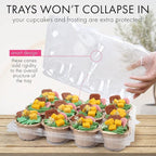 LotFancy (12 Count x 20 Sets) Cupcake Containers, Plastic Cupcake Boxes Holderd with 240 Liners, BPA Free, Disposable Cupcake Carrier Holder with Detachable Tall Dome Lid