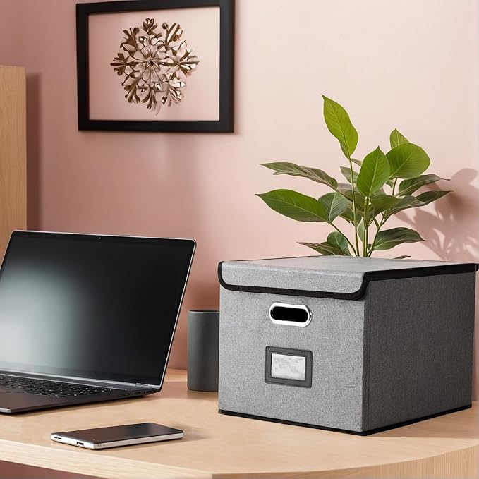 Collapsible File Box with Lid & Plastic Slide - Hanging Document Organizer for Office/Home, 14.96x12.6x10.83 Inch,Dark Grey, 1 Pack (No Folders Included)