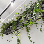 Ceiling Mounted Metal Iron Wine Shelf with Chain for Hanging Plants and Flowers Decorative Display Storage Rack for Restaurant Kitchen and Bar 100x25x15cm