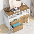 Tribesigns Modern File Cabinet with Drawers for Letter-Sized File and Door, lateral Filing Cabinet Printer Stand with Storage Shelves and with Rolling Caster for Home Office