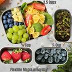 27 OZ Leak proof Stainless Steel Lunch Box containers, Stainless Steel Lunch Containers, Bento box, Metal Lunch Containers, Snacks container, Black, Small - 27 Oz+ 2 * 6.5Oz