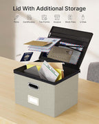Oterri File Organizer Boxes with Lids, File Box with Mesh Pockets, Document Organizer Box for Letter Size Folders, Zippers Important Document Organizer (Beige, Large-2 Pack Without Folders)