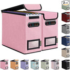 BALEINE File Organizer Box with Lid, Collapsible File Folder Organizer with Plastic Slide, Hanging File Folder Box for Office Document Storage (2 Pack, Pink, S)