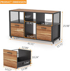 Tribesigns 2 Drawer Wood File Cabinets, Modern Mobile Lateral Filing Cabinet for Letter/ A4 Size, Printer Stand with Open Storage Shelves and Drawer for Home Office, Rustic Walnut