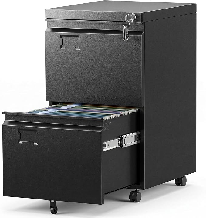 2 Drawer File Cabinet with Lock, Heavy-Duty Metal Rolling Filing Cabinet for Home Office, Under Desk Printer Stand with 5 Wheels, Required Assembly with Video Guide, Fits Letter/Legal Size, Black