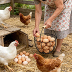 2 Pcs Egg Basket With Handle,Wire Egg Basket for Gathering Fresh Eggs, Round Egg Collecting Basket for Farm,Vintage Style Chicken and Duck Eggs Basket Egg Countertop Storage Container Holder ﻿
