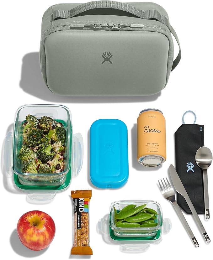 Hydro Flask Carry Out Lunch Box – Insulated Adult Lunch Cooler for Men and Women 5 L Sandpiper