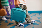 PackIt(R) Freezable Classic Lunch Box, Sea Shark, Built with EcoFreeze(R) Technology, Collapsible, Reusable, Zip Closure With Zip Front Pocket and Buckle Handle, Designed for Fresh Lunch On the Go