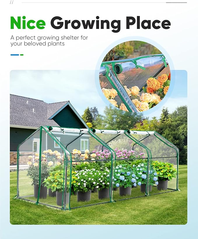 Quictent Mini Greenhouse, Portable Quick-Setup Small Tabletop Waterproof UV Protected PVC Cover Shelter for Outdoors/Indoors W/ Raised Base for Garden Plant Seed Starting, 8 Stake, 95"x36"x36", Clear