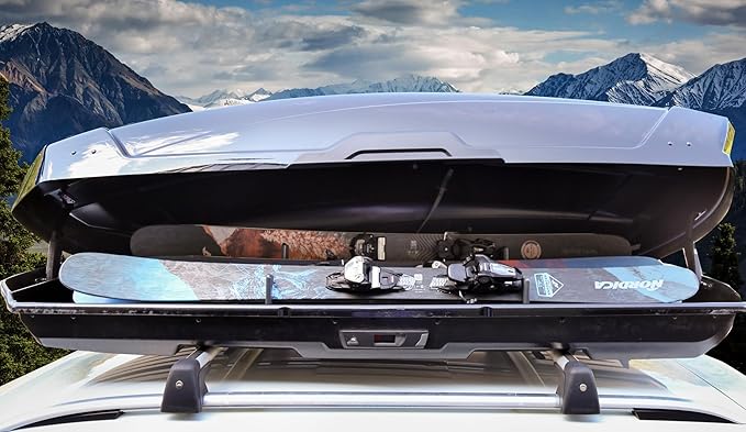 TRAPSKI Lowpro Series Ski and Snowboard Rack Inserts for Rooftop Cargo Box Marine Grade HDPE Plastic | Premium Strap Included | 3 Year Warranty | Made in the USA (LOWPRO2-S)