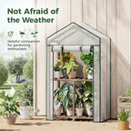 Bamworld Mini Greenhouse Indoor Outdoor 2-Tierd Reusable Portable Warm House with PE Cover Compact Garden and Backyards Portable Rack with Sturdy Eucalyptus Frame Winter-Proof for Plant Protection