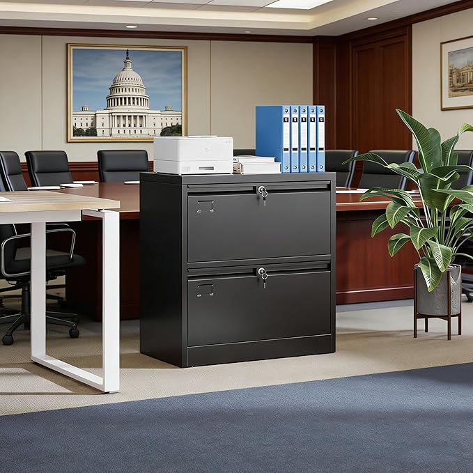 SUXXAN Metal 2 Drawer Lateral File Cabinet with Lock - Wide Filing Cabinet for Letter/Legal/F4/A4 Hanging Files - Includes Business Card Holder, Home Office School Storage,Black