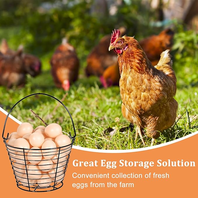 3 PCS 8" Black Round Wire Egg Baskets With Handle, Small Metal Egg Collecting Basket for Gathering Fresh Eggs, Chicken and Duck Eggs Hunting Basket Egg Holder Countertop