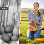 Egg Collecting Basket, Canvas Egg Basket for Gathering with 7 Pouches for Chicken, Duck, Goose, Bird, Various Poultry Collection (Yellow chicken)