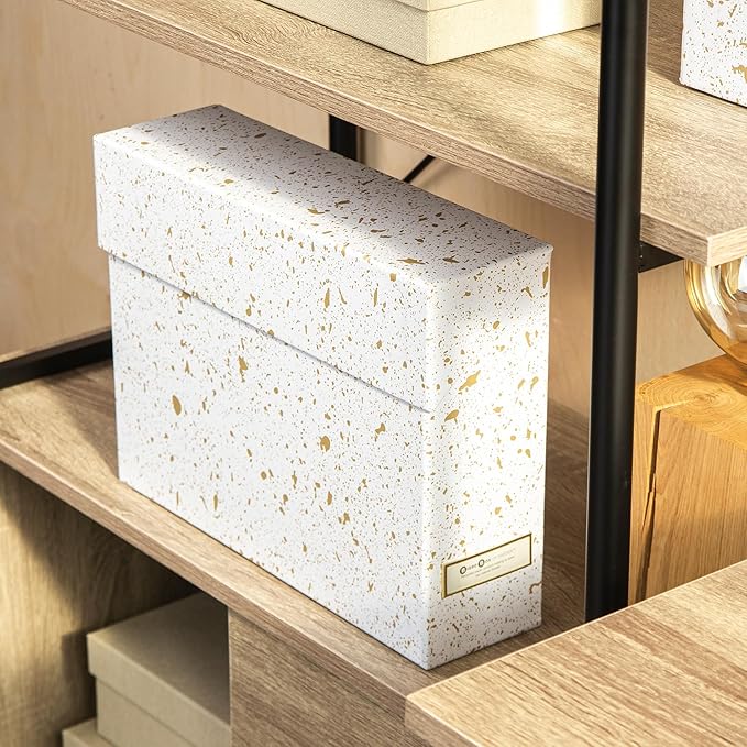 Bigso Lovisa Fiberboard Label Frame 12 File Storage Box - Paperwork Storage Box with Metal Label Holder - Durable Document Organizer with Flip Top Lid - 3.7in x 13in x 9.4 in - Splash Gold