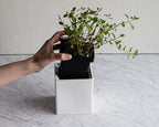 ZWILLING Ceramic Storage Box - Medium
