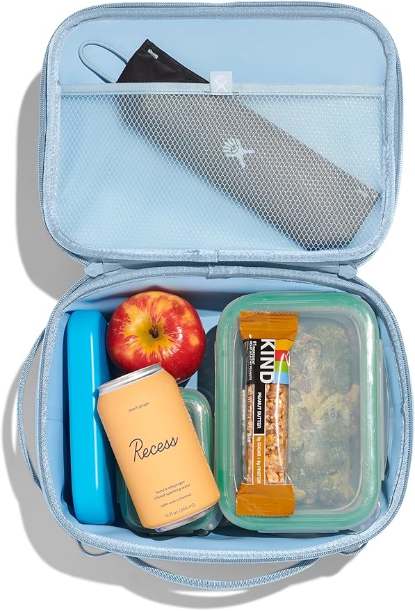 Hydro Flask Carry Out Lunch Box – Insulated Adult Lunch Cooler for Men and Women 5 L Surf Blue