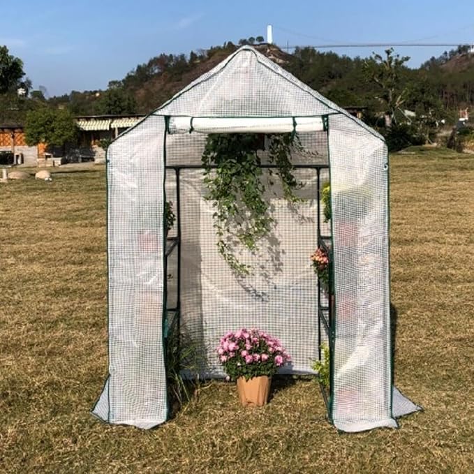 Walk-in Greenhouse with Roll-Up Door - Heavy Duty Portable Greenhouse Kit, 3-Tier Shelves Metal Frame for Courtyard/Balcony (56"x29"x77")