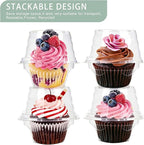 50 Pcs Cupcake Boxes Plastic Individual Cupcake Containers Single Cupcake Carrier with Connected Airtight Dome Lid for Party