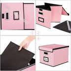 Huolewa File Organizer Box with Lid, Collapsible File Folder Organizer for Office Document Storage, Filing Box with Plastic Slide for Letter Size Hanging File Folders(1 Pack, Pink)